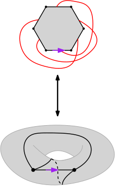Illustration for Bivariate asymptotics via random walks: application to large genus maps