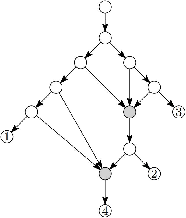 Illustration for Enumerative and Distributional Results for d-combining Tree-Child Networks